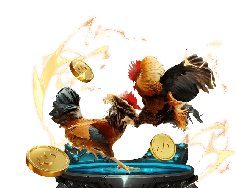 Chiến lược cá cược đá gà thông minh